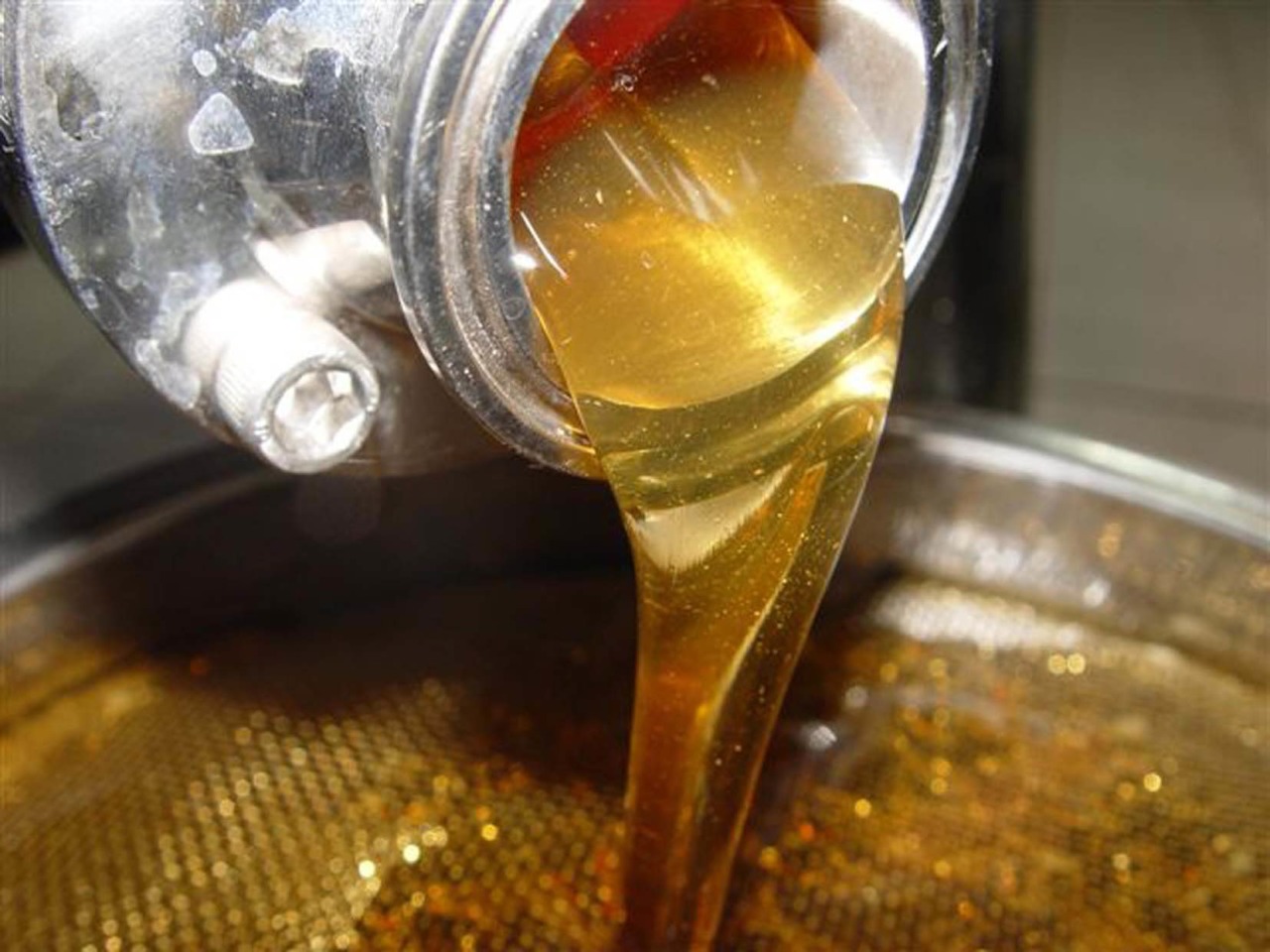 136 cidades piauienses registram produção de mel em 2021 (Foto: divulgação)